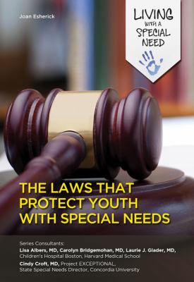 The laws that protect youth with special needs 