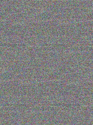 The view from the cherry tree 