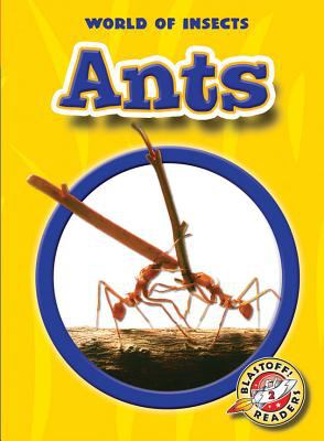 Ants 